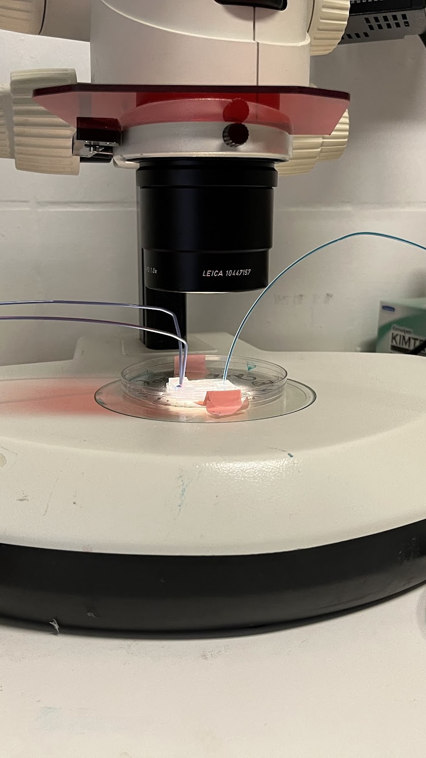 17/03/2022: Set-up for our passive micromixers