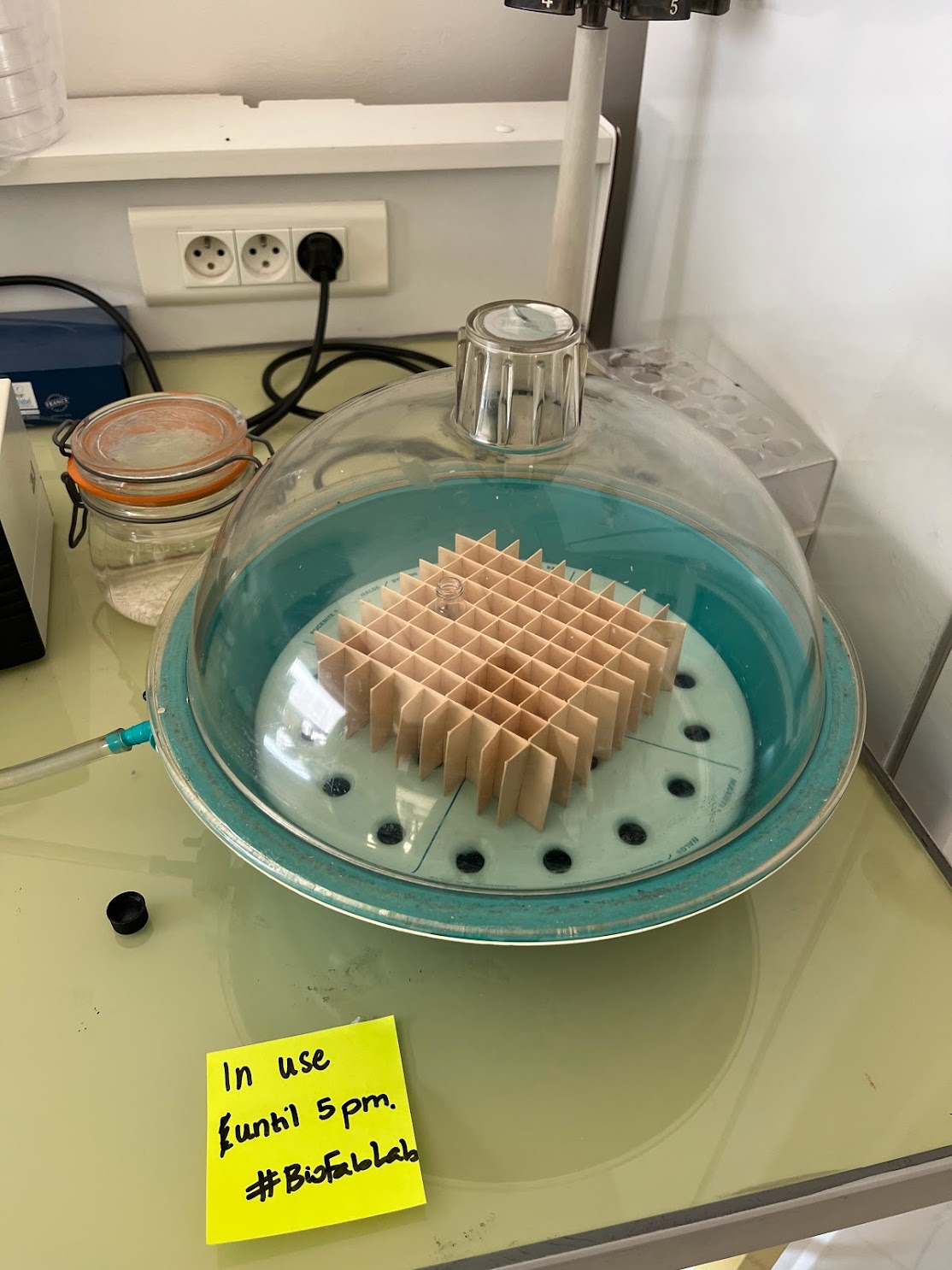 24/03/2022:Lipids preparation with the help of Zied