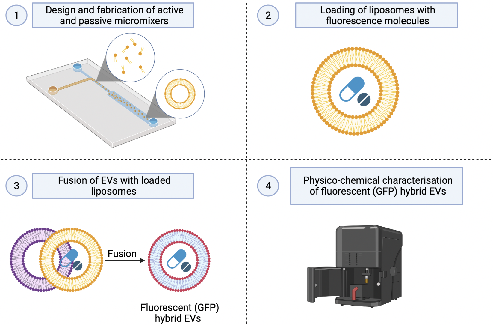 Figure 4: Scheme of the project EVs on-chip, created with BioRender.com.