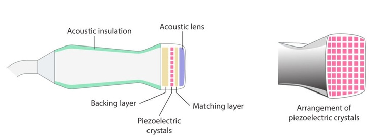 Figure 2. Ultrasound transducer from the side and front