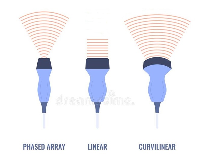 Figure 3. Ultrasound probes