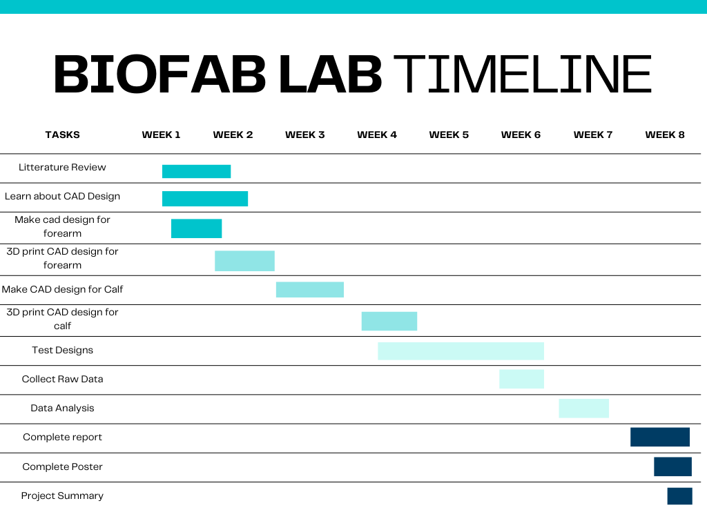 Preliminary BFL Timeline